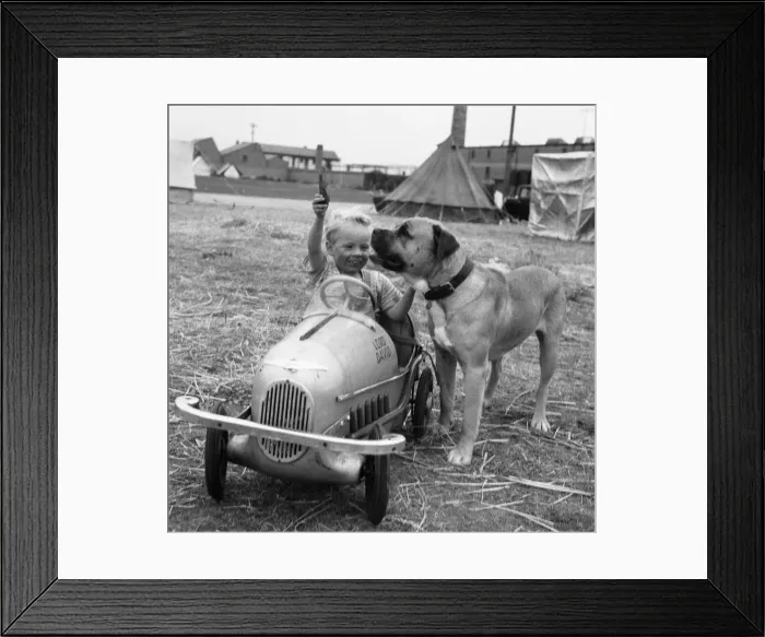 Framed Print : Small boy in his pedal car plays fetch with his pet dog on the South Denes Framed Print : Small boy in his pedal car plays fetch with his pet dog on the South Denes
