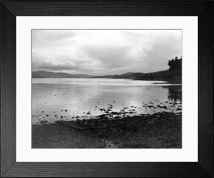 Framed Print : The seabirds are the only sign of life as they hover over the corrugated like waters of Framed Print : The seabirds are the only sign of life as they hover over the corrugated like waters of