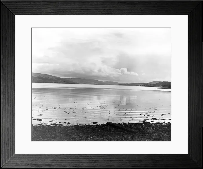Framed Print : The seabirds are the only sign of life as they hover over the corrugated like waters of Framed Print : The seabirds are the only sign of life as they hover over the corrugated like waters of