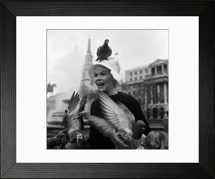 Framed Print : When pink Dorothy Provine arrived in London today she wanted to see the town