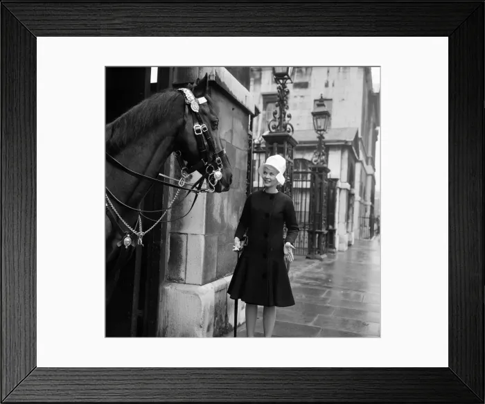 Framed Print : When pink Dorothy Provine arrived in London today she wanted to see the town Framed Print : When pink Dorothy Provine arrived in London today she wanted to see the town