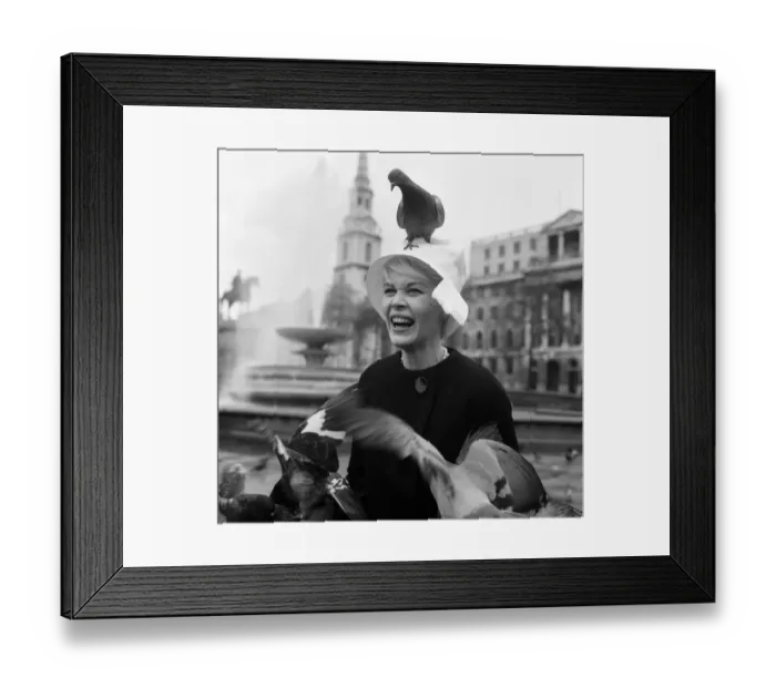 Framed Print : When pink Dorothy Provine arrived in London today she wanted to see the town