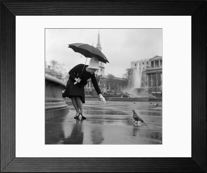 Framed Print : When pink Dorothy Provine arrived in London today she wanted to see the town Framed Print : When pink Dorothy Provine arrived in London today she wanted to see the town