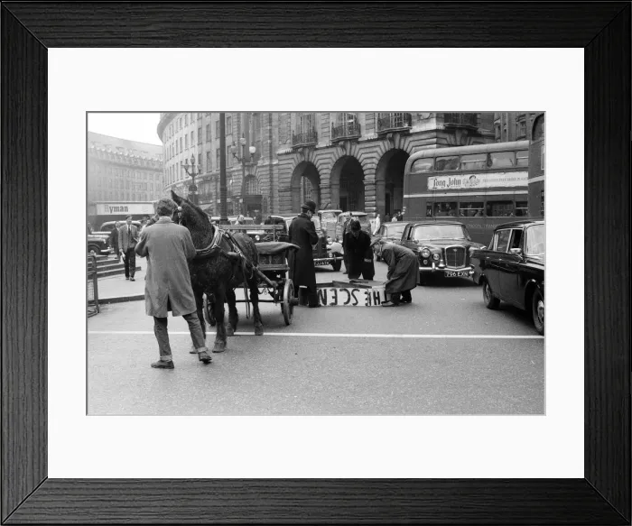 Framed Print : Mr Henry Cooke, of Finsbury Park, loses his new white grand piano in Piccadilly Circus Framed Print : Mr Henry Cooke, of Finsbury Park, loses his new white grand piano in Piccadilly Circus