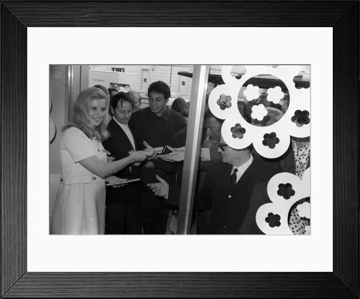 Framed Print : Shops and Shopping Ann Summers displaying some of the items she is selling in her new sex Framed Print : Shops and Shopping Ann Summers displaying some of the items she is selling in her new sex