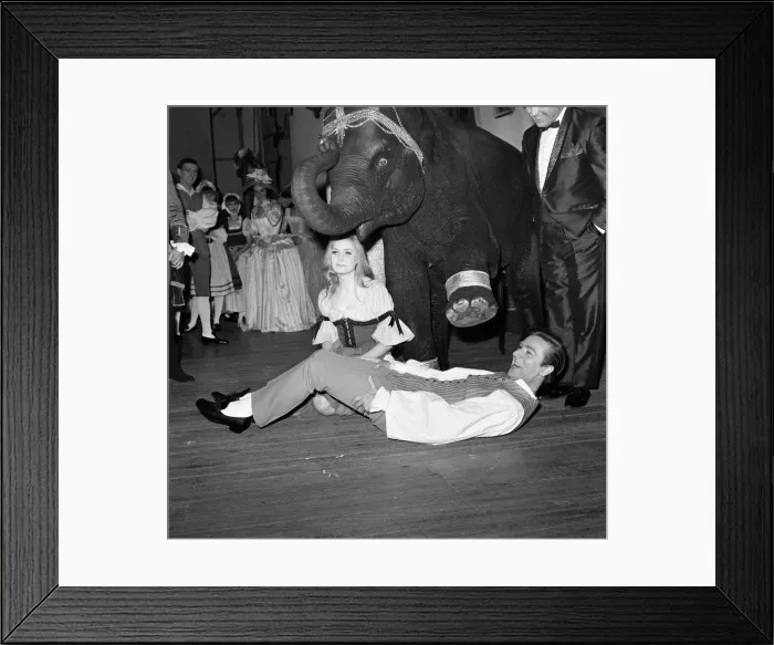 Framed Print : Cinderella rehearsals at the Manchester Palace Theatre. Tanya the Elephant did not put Framed Print : Cinderella rehearsals at the Manchester Palace Theatre. Tanya the Elephant did not put