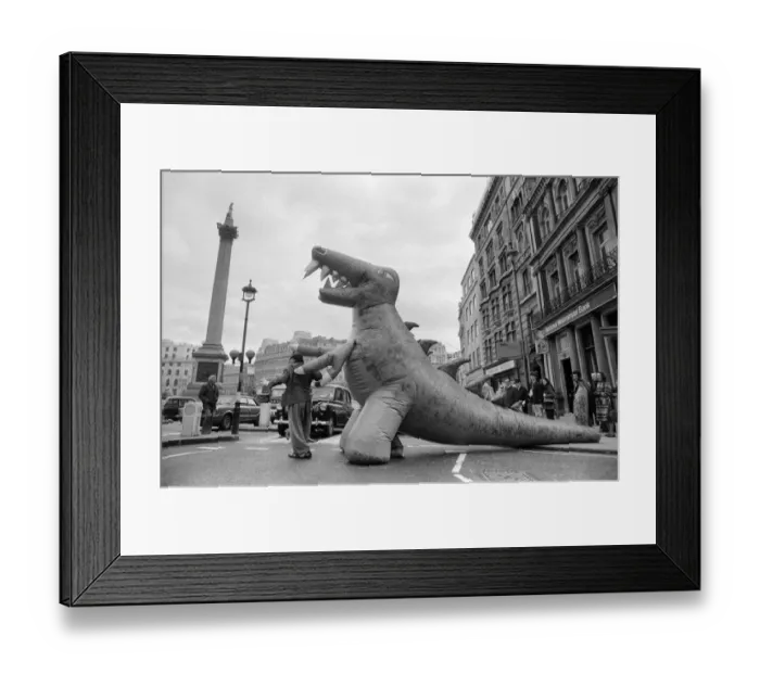 Framed Print : Two dinosaurs as high as a double decker bus fight each other in London