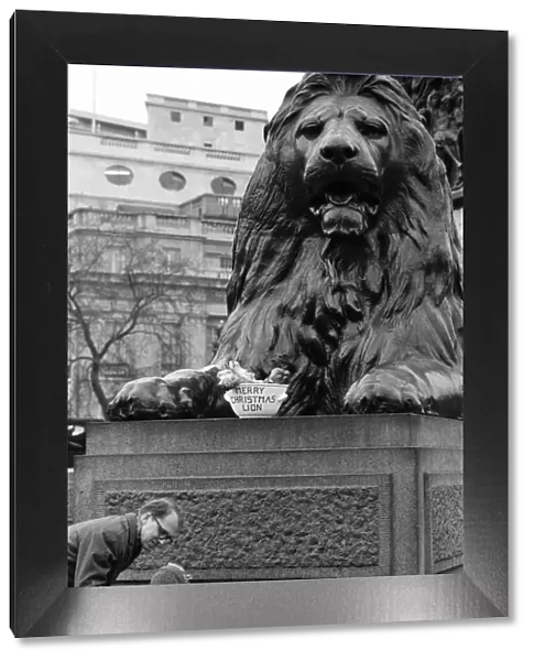 Nelsons Column Lions Trafalgar Square London. One of the four Lion statues at the base of