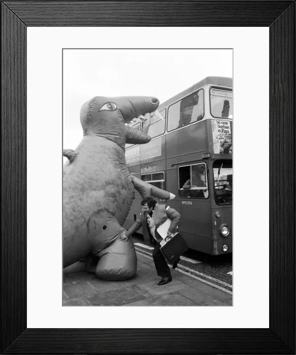 Framed Print : Two dinosaurs as high as a double decker bus fight each other in London Framed Print : Two dinosaurs as high as a double decker bus fight each other in London