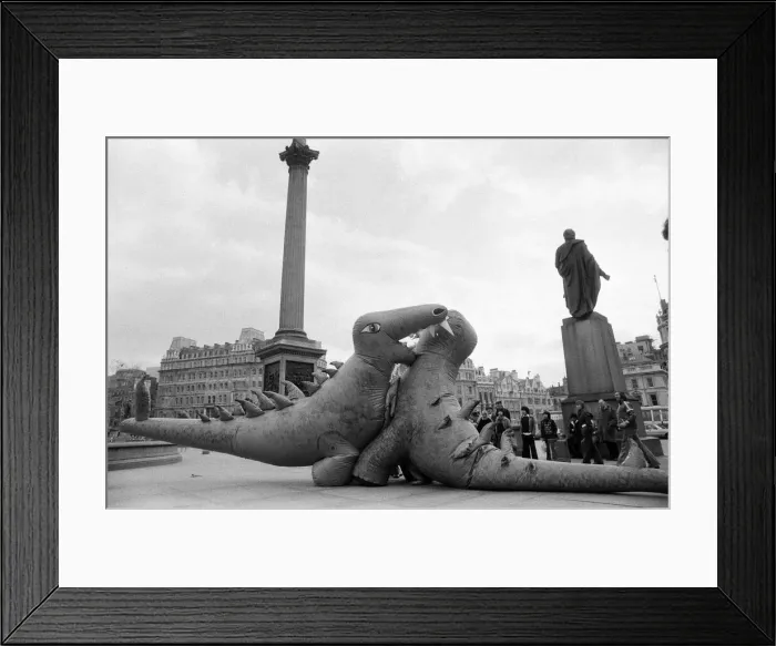 Framed Print : Two dinosaurs as high as a double decker bus fight each other in London Framed Print : Two dinosaurs as high as a double decker bus fight each other in London