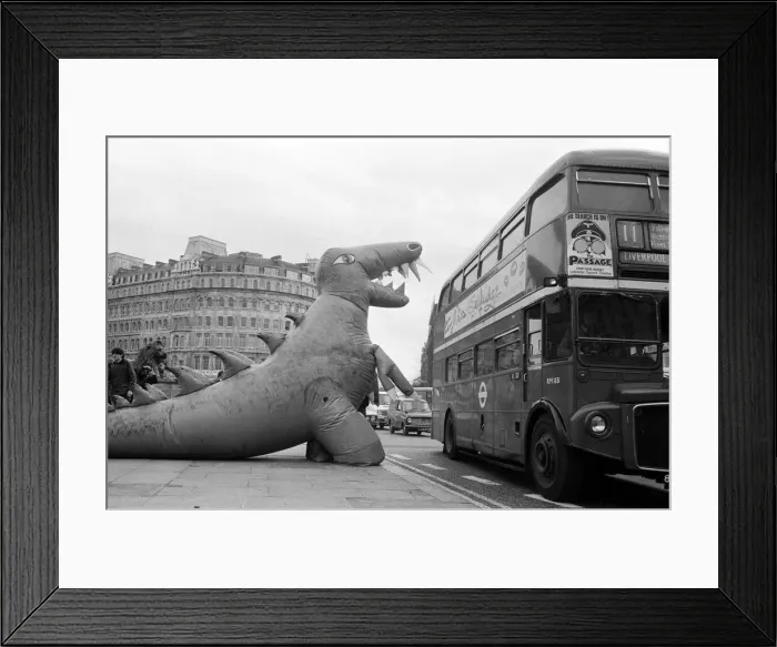 Framed Print : Two dinosaurs as high as a double decker bus fight each other in London Framed Print : Two dinosaurs as high as a double decker bus fight each other in London