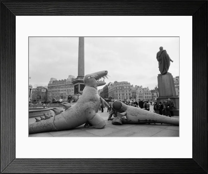 Framed Print : Two dinosaurs as high as a double decker bus fight each other in London Framed Print : Two dinosaurs as high as a double decker bus fight each other in London