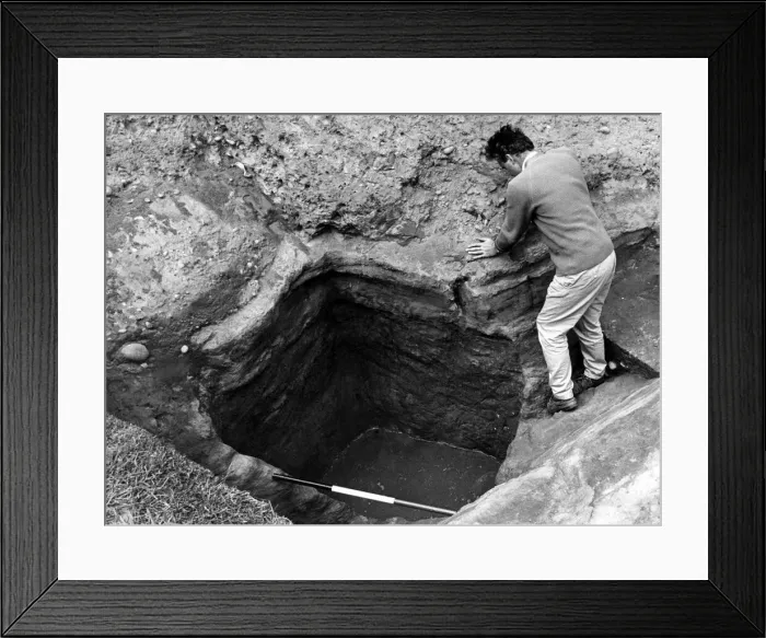 Framed Print : 00976935