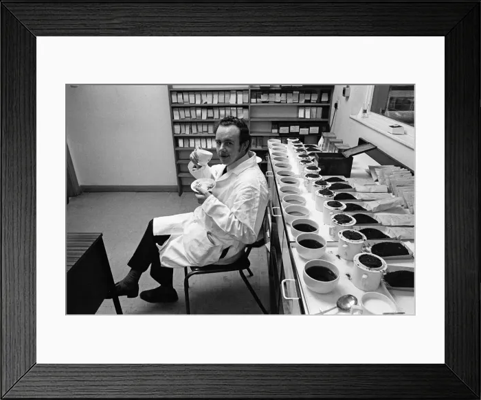 Framed Print : Tea tasters at Tetley s, Teesside. 1972 Framed Print : Tea tasters at Tetley s, Teesside. 1972