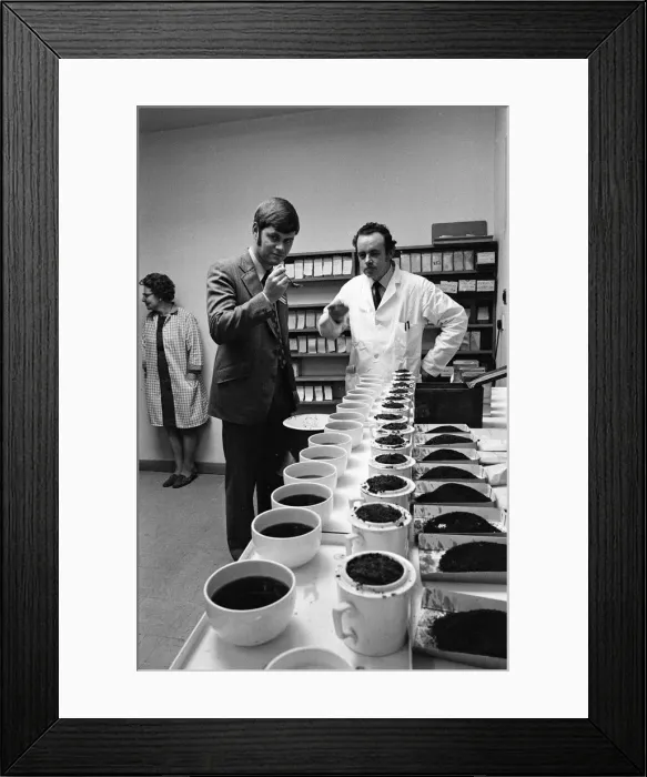 Framed Print : Tea tasters at Tetley s, Teesside. 1972 Framed Print : Tea tasters at Tetley s, Teesside. 1972