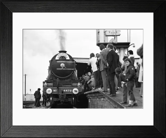 Framed Print : The Flying Scotsman arriving at Didcot, Oxfordshire, 15th June 1974 Gentle giant Framed Print : The Flying Scotsman arriving at Didcot, Oxfordshire, 15th June 1974 Gentle giant
