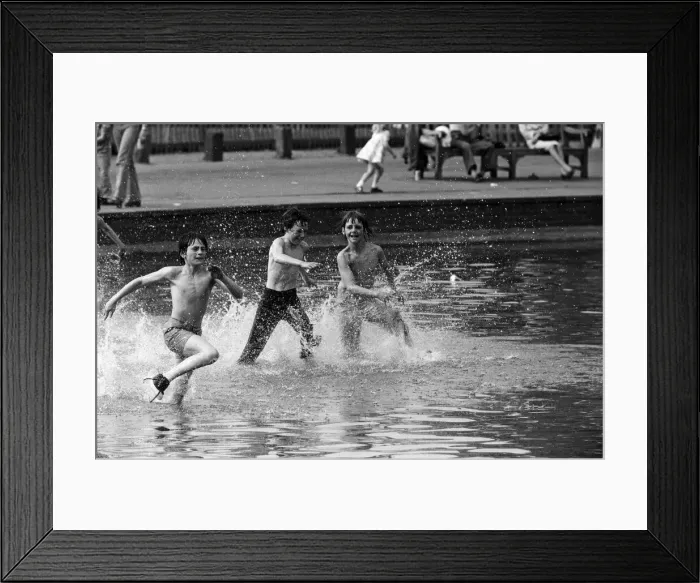 Framed Print : Well into the 80s - todays sun brought out people onto Hampstead Heath to cool off Framed Print : Well into the 80s - todays sun brought out people onto Hampstead Heath to cool off