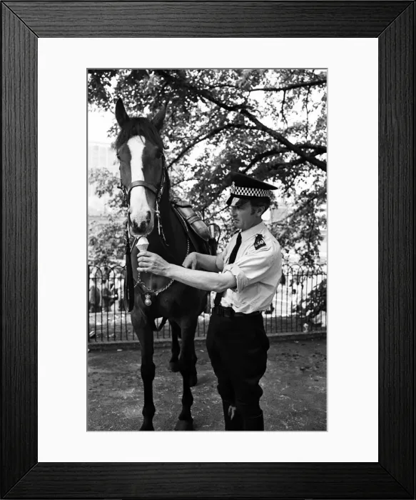 Framed Print : The hottest day yet! and people were out in their thousands for the Wembley Rugby Framed Print : The hottest day yet! and people were out in their thousands for the Wembley Rugby