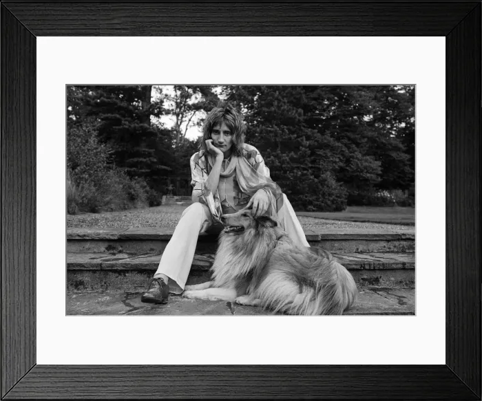 Framed Print : Rod Stewart in the garden of his home at Windsor, Berkshire. 15th August 1973 Framed Print : Rod Stewart in the garden of his home at Windsor, Berkshire. 15th August 1973