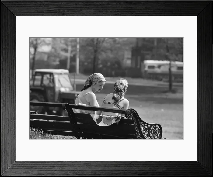 Framed Print : Sunny day at a park in Reading, Berkshire. May 1979 Framed Print : Sunny day at a park in Reading, Berkshire. May 1979