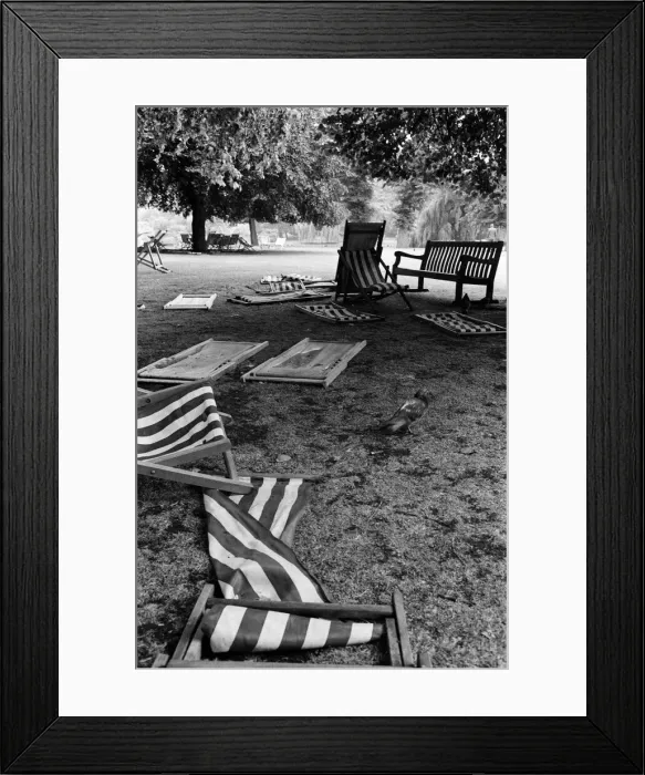 Framed Print : Empty deck chairs on a mid-summers day at St Jamess Park, London Framed Print : Empty deck chairs on a mid-summers day at St Jamess Park, London