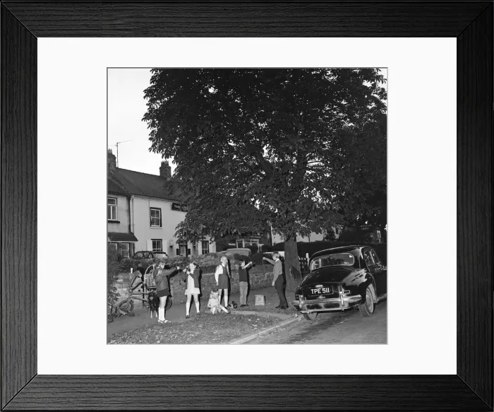 Framed Print : Children in Hartburn, County Durham, playing conkers under a conker tree. 1971 Framed Print : Children in Hartburn, County Durham, playing conkers under a conker tree. 1971