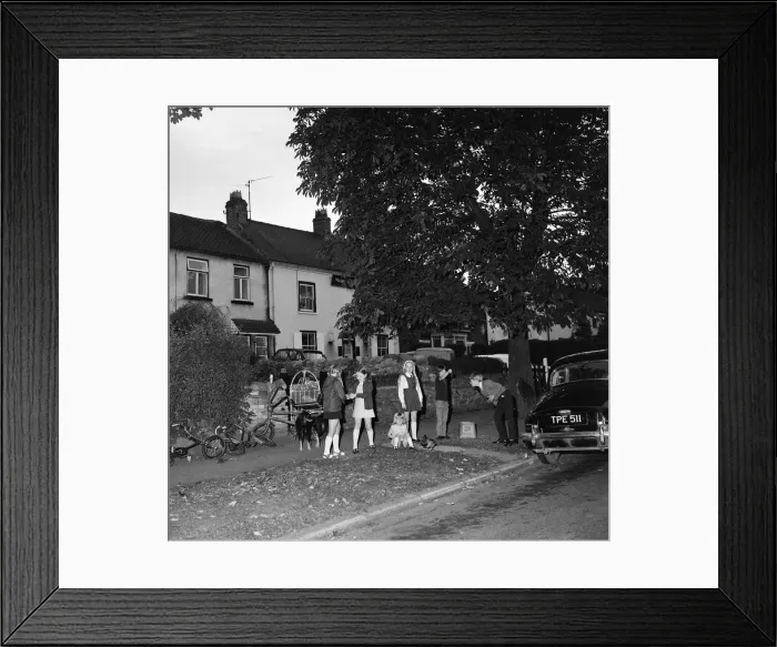 Framed Print : Children in Hartburn, County Durham, playing conkers under a conker tree. 1971 Framed Print : Children in Hartburn, County Durham, playing conkers under a conker tree. 1971
