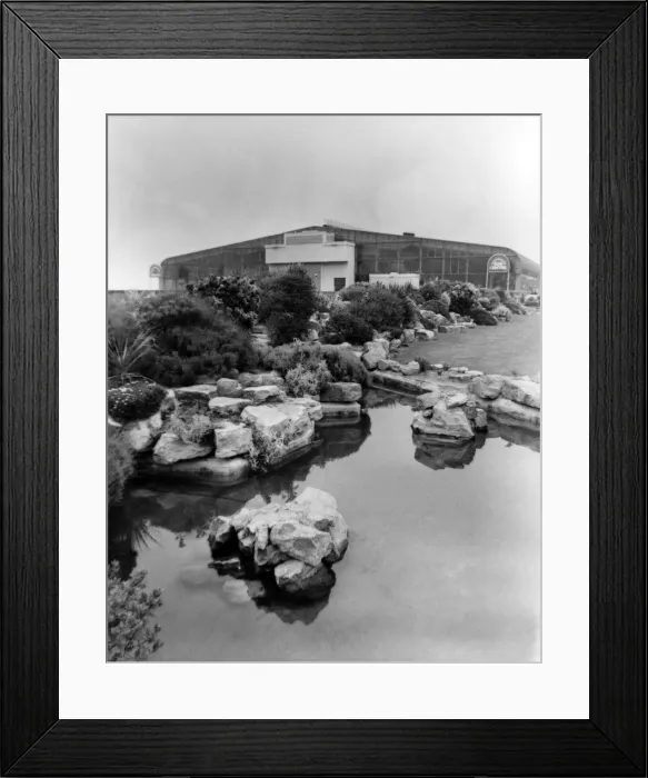 Framed Print : Rhyl Sun Centre, Rhyl, North Wales. Flower gardens and ponds on Rhyl promenade with Framed Print : Rhyl Sun Centre, Rhyl, North Wales. Flower gardens and ponds on Rhyl promenade with