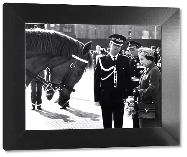 Bow for the Queen, a police horse shows his respect for Queen Elizabeth II as she