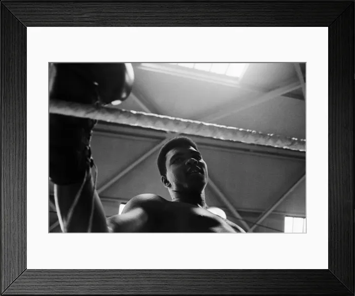 Framed Print : Cassius Clay (Muhammad Ali) training in White City ahead of his fight with British Framed Print : Cassius Clay (Muhammad Ali) training in White City ahead of his fight with British