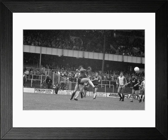 Framed Print : English League Division Three match at Home Park. Plymouth Argyle 0 -1 Reading