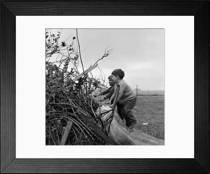 Framed Print : Children building a bonfire on Teesside. 1971 Framed Print : Children building a bonfire on Teesside. 1971