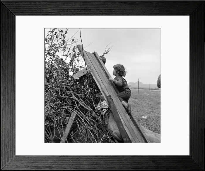 Framed Print : Children building a bonfire on Teesside. 1971 Framed Print : Children building a bonfire on Teesside. 1971