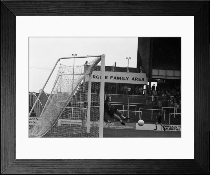 Framed Print : English League Division Three match at Home Park. Plymouth Argyle 0 -1 Reading