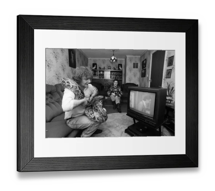 Framed Print : When snake lover Tony Griffiths settles down to watch TV with Monty, his pet python