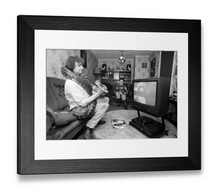 Framed Print : When snake lover Tony Griffiths settles down to watch TV with Monty, his pet python Framed Print : When snake lover Tony Griffiths settles down to watch TV with Monty, his pet python