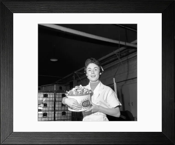 Framed Print : A female worker at John Mackintosh sweet factory. Halifax in West Yorkshire Framed Print : A female worker at John Mackintosh sweet factory. Halifax in West Yorkshire