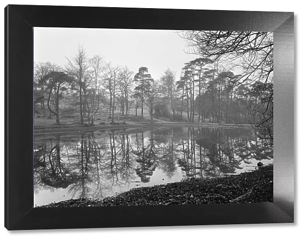Scenes at Keston Ponds, Kent. 9th January 1964