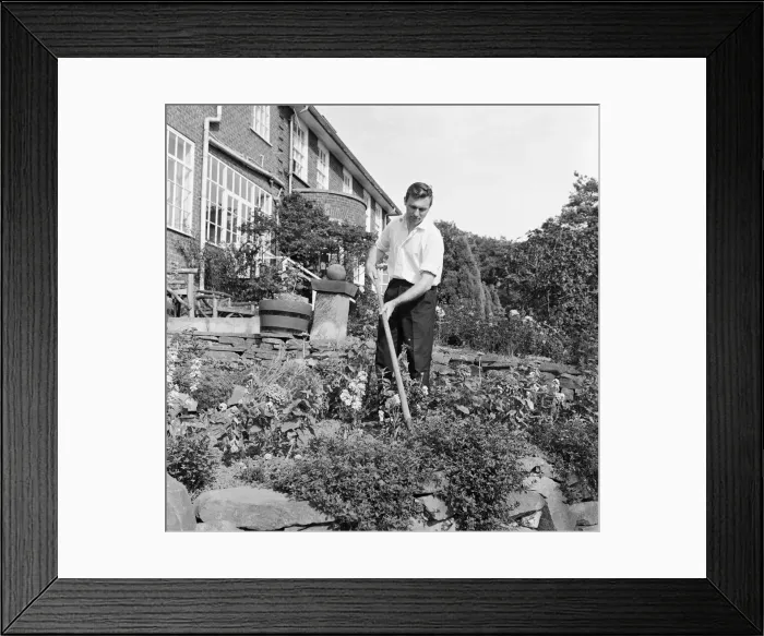 Framed Print : The gardener at the Tall Trees Hotel and Nightclub in Yarm. 1971 Framed Print : The gardener at the Tall Trees Hotel and Nightclub in Yarm. 1971