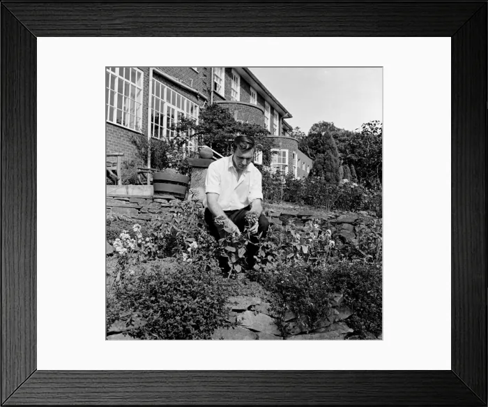 Framed Print : The gardener at the Tall Trees Hotel and Nightclub in Yarm. 1971