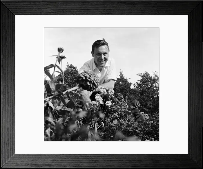 Framed Print : The gardener at the Tall Trees Hotel and Nightclub in Yarm. 1971