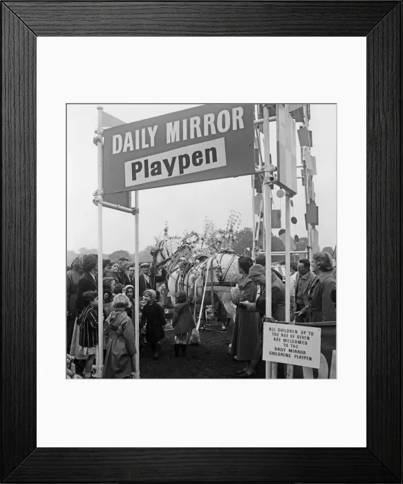 Framed Print : A cart hourse pictured in the Daily Mirror Playpen at Altrincham agriculture show