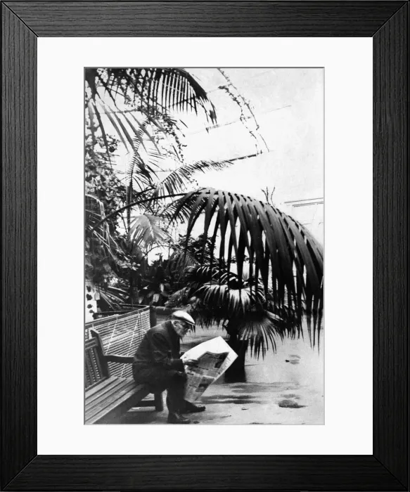 Framed Print : Sefton Park Palm House, Liverpool, 13th December 1963 Framed Print : Sefton Park Palm House, Liverpool, 13th December 1963