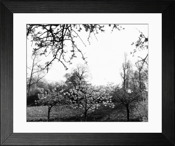 Framed Print : Sefton Park Palm House, Liverpool, 27th April 1972 Framed Print : Sefton Park Palm House, Liverpool, 27th April 1972