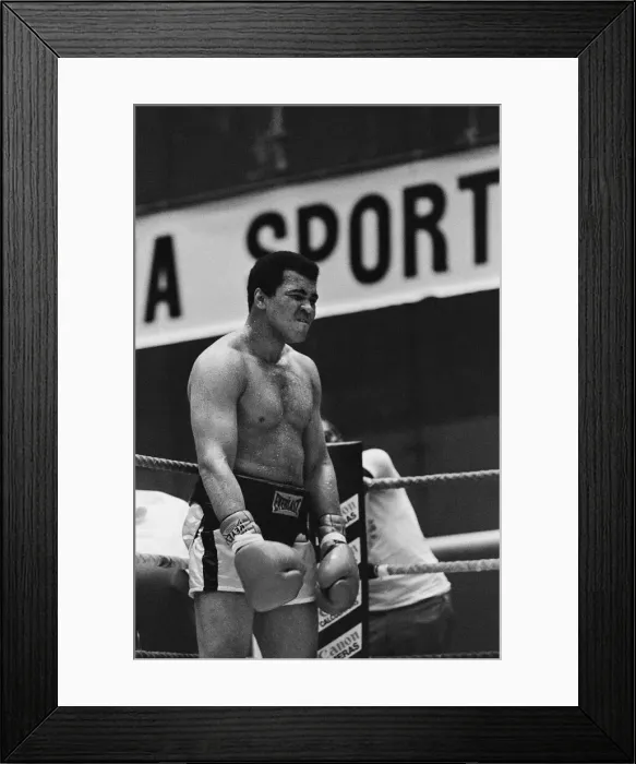 Framed Print : Muhammad Ali training in Deer Lake, Pennsylvania ahead of his second fight with Leon Framed Print : Muhammad Ali training in Deer Lake, Pennsylvania ahead of his second fight with Leon