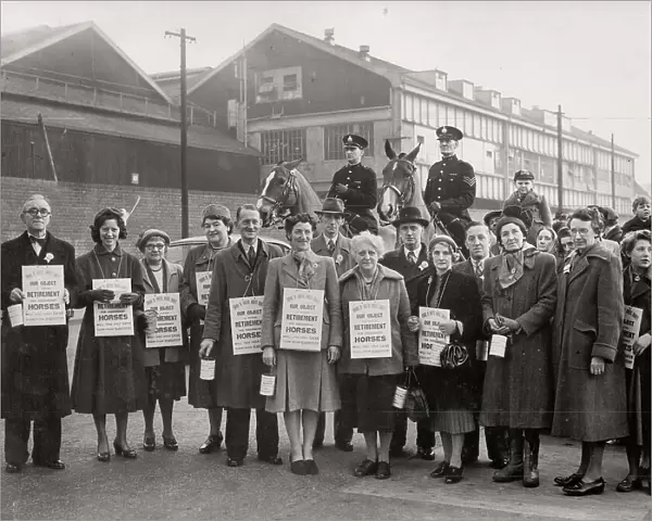 Volunteers from the Friends of Bristol Horses Society ( now HorseWorld