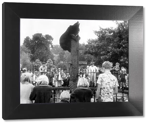 Bristol Zoo, children gathered around the bear pit 1st June 1965
