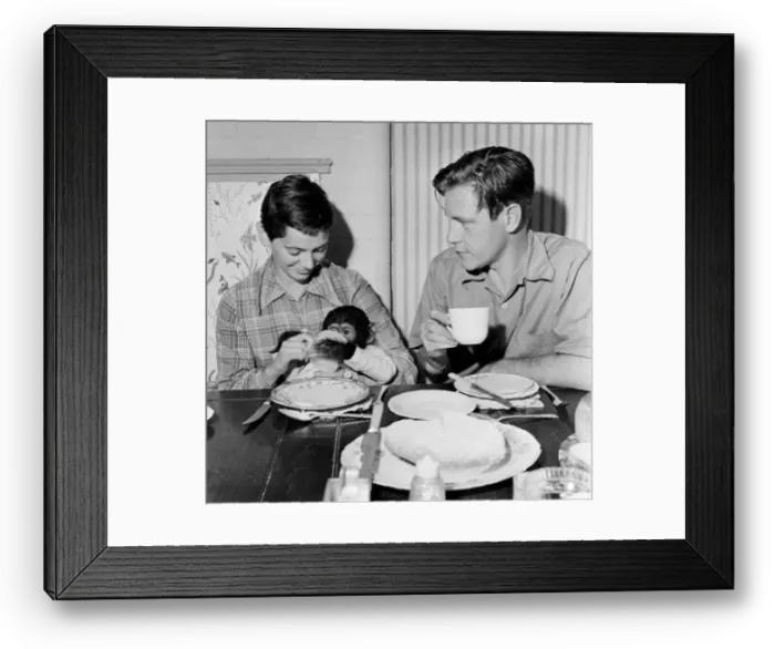 Framed Print : Photo shows Gerald Durrell and Jacqueline Durrell with their pet Chimpanzee Cholmondley Framed Print : Photo shows Gerald Durrell and Jacqueline Durrell with their pet Chimpanzee Cholmondley
