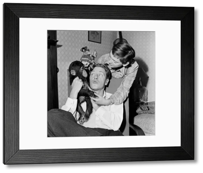 Framed Print : Photo shows Gerald Durrell and Jacqueline Durrell with their pet Chimpanzee Cholmondley