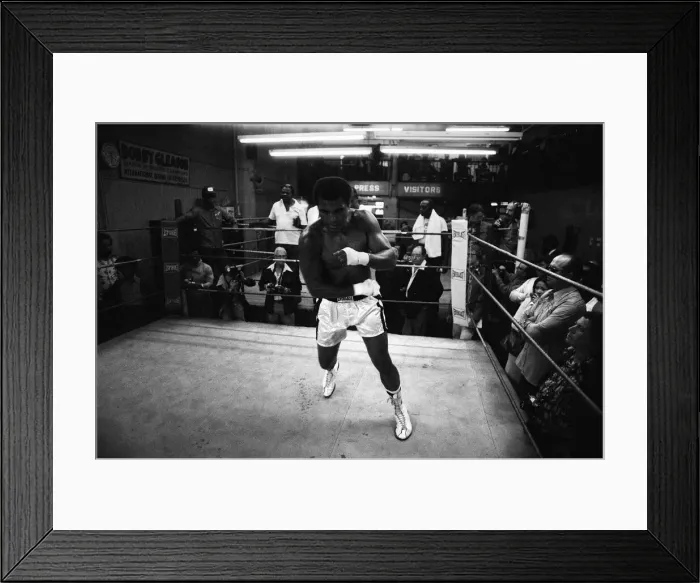 Framed Print : Muhammad Ali training ahead of his third fight with Ken Norton. 23rd September 1976 Framed Print : Muhammad Ali training ahead of his third fight with Ken Norton. 23rd September 1976
